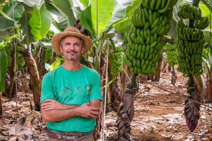 Adolfo, encargado de la finca 'Las Margaritas'.