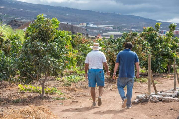 José Luis muestra los recovecos de su finca.