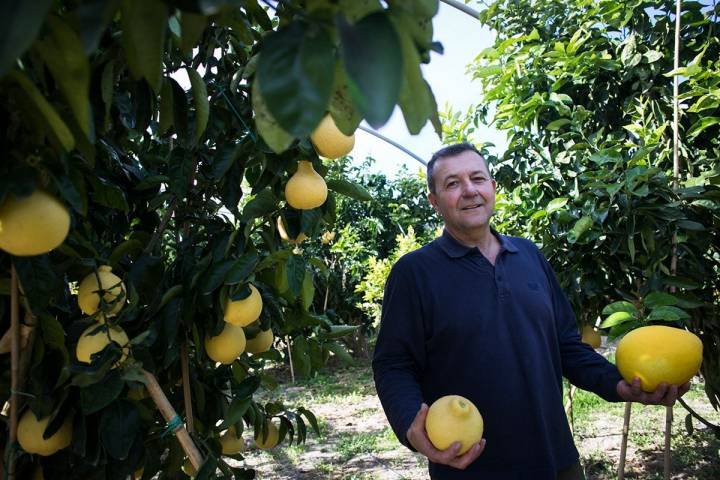 Hort Botànic Citrícola el Bartolí