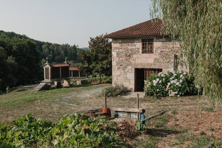 El terreno donde cultiva Alberto antes pertenecía al Pazo Bendoiro, justo al lado.