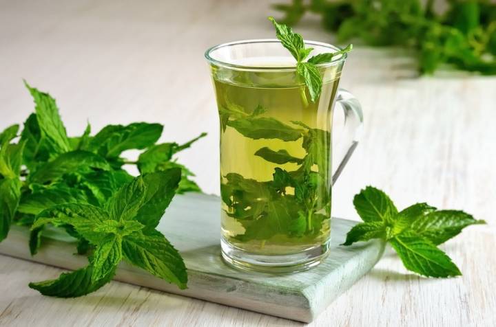 Té de menta, no podrás dejar de beberlo. Foto: Shutterstock.