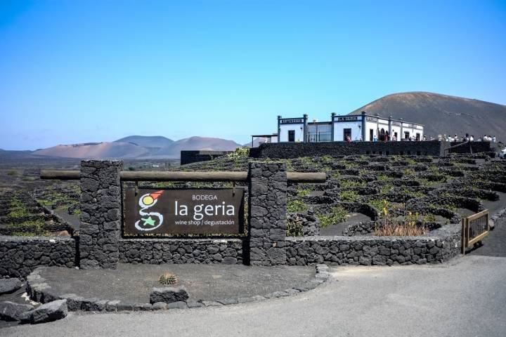 Vinos en Lanzarote: Fiesta de la Vendimia Tradicional en La Geria. Foto: Hugo Palotto