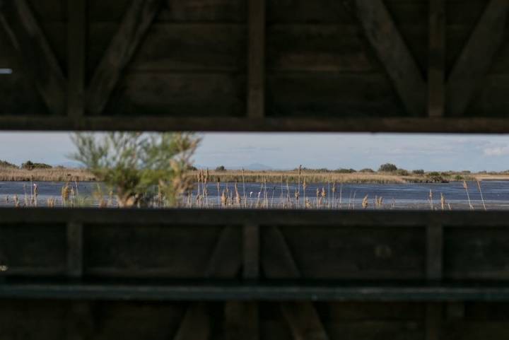 Punto de observación de las aves. Foto: Pekebikers.