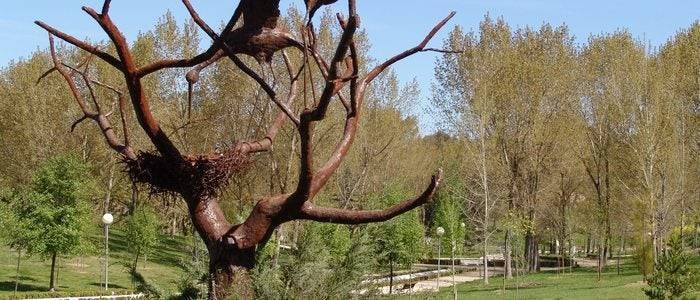 Parque del Príncipe. / Imagen cedida por: Ayuntamiento de Cáceres