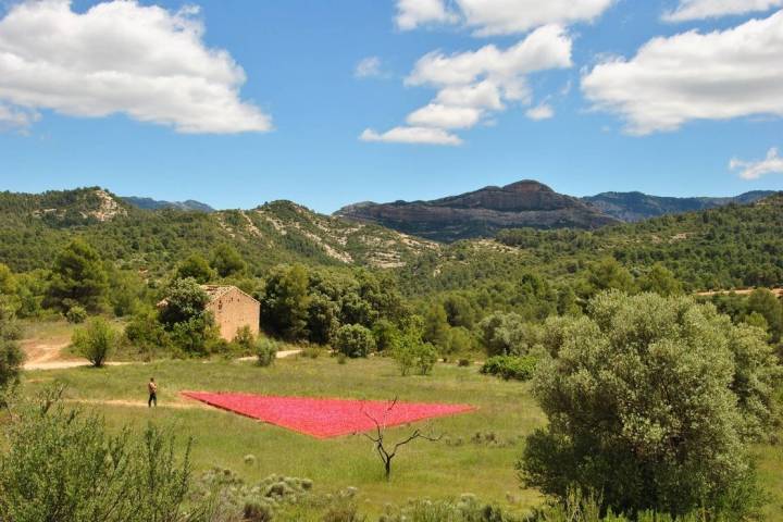 El 'land art' tiene su hueco en Matarraña de la mano de Ugo Rondinone.