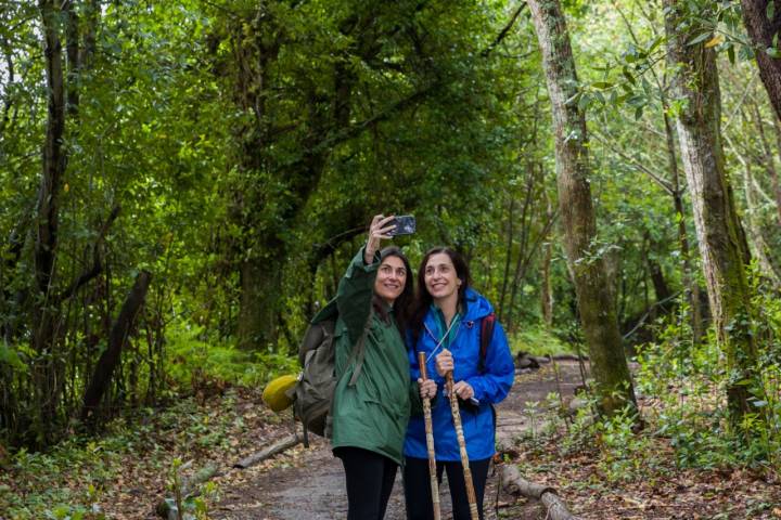 Dos peregrinas haciéndose un selfie en un bosque.