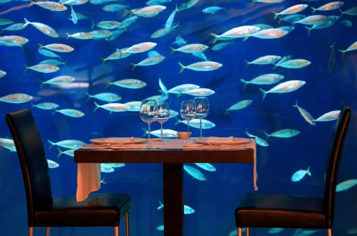 Una cena pasada por agua en el Oceanográfic