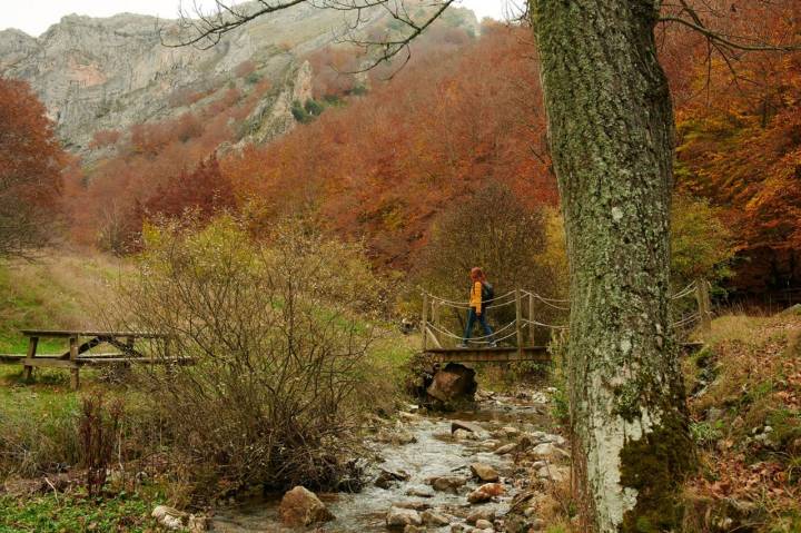 faedo ciñera puente