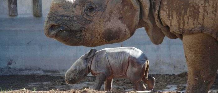 Terra Natura, Alacant y Murcia.