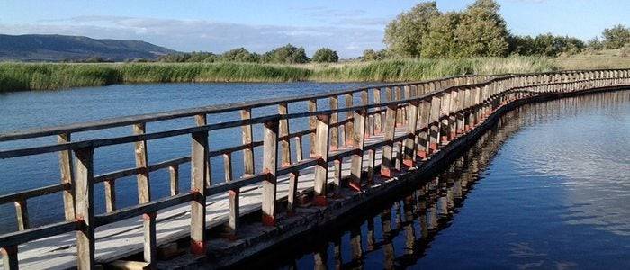 Parque Nacional de las Tablas de Daimiel. / Cedida por: el Ayuntamiento de Daimiel.