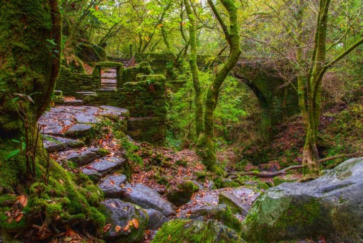 Paisaje naturista en A Coruña. Foto: Shutterstock