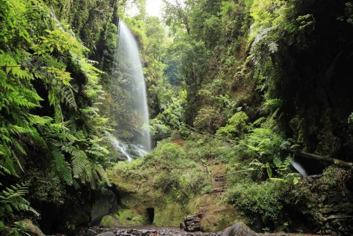 El salto de agua al llegar a los Nacientes de Marcos y Cordero te sorprenderá.