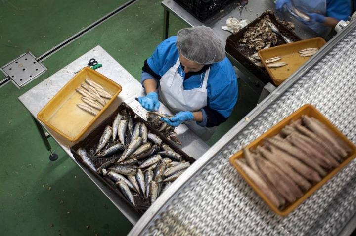 Nadie se va de Ayamonte sin llevarse en la maleta alguna delicia de 'Pesasur', pescados en conserva artesanales.