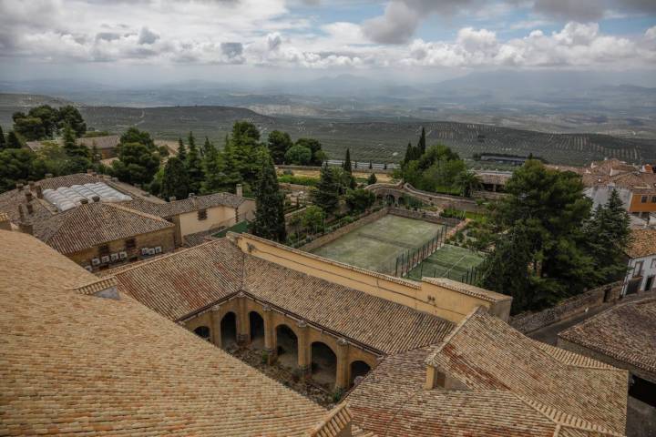 vistas catedral baeza