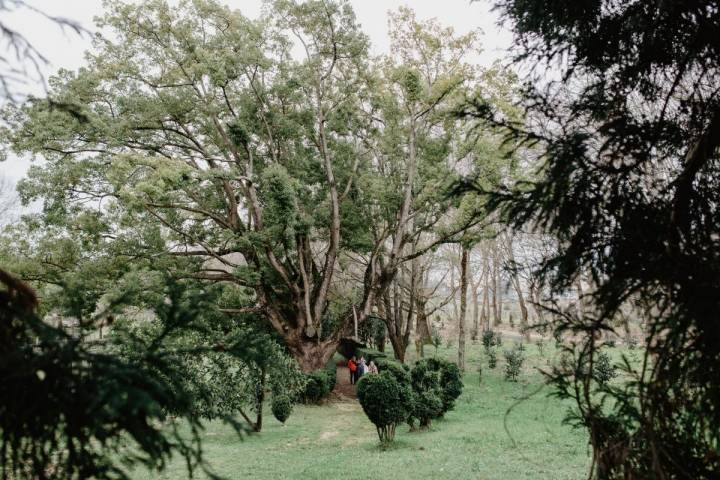 Unos visitantes pasean por las 16 hectáreas de jardín del pazo de Rubianes.