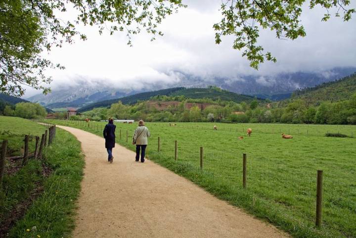 La ruta comienza en Apatamonasterio y tiene un recorrido de 10 kilómetros. Foto: shutterstock