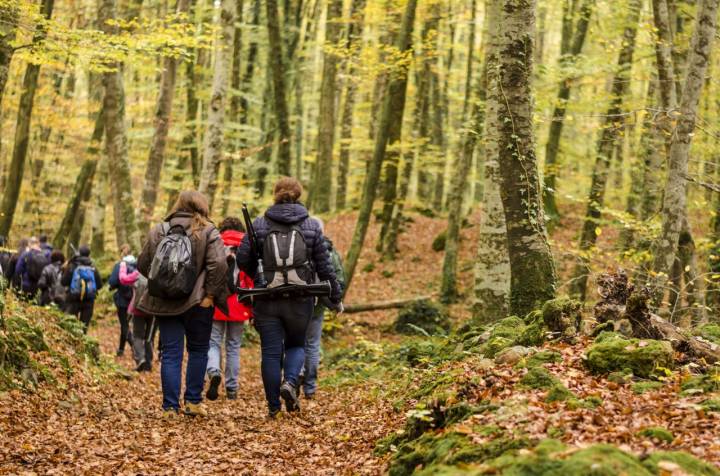 En el parque natural existen hasta 28 itinerarios a pie. Foto: Shutterstock.