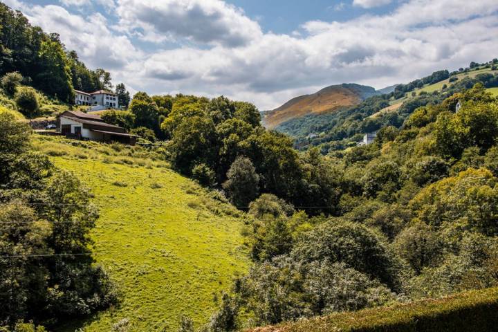 El paisaje puede ser verde o blanco, dependiendo de la estación. Foto: Shutterstock.