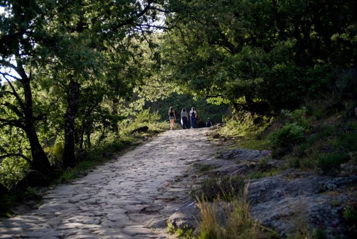 Los caminos son aptos para todos.